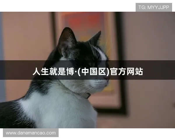 尊龙凯时人生就是赢：探索成功背后的智慧与心态