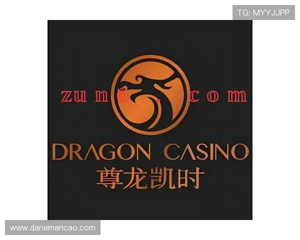 尊龙凯时九游娱乐官方手机版：最新版本下载与功能介绍全攻略