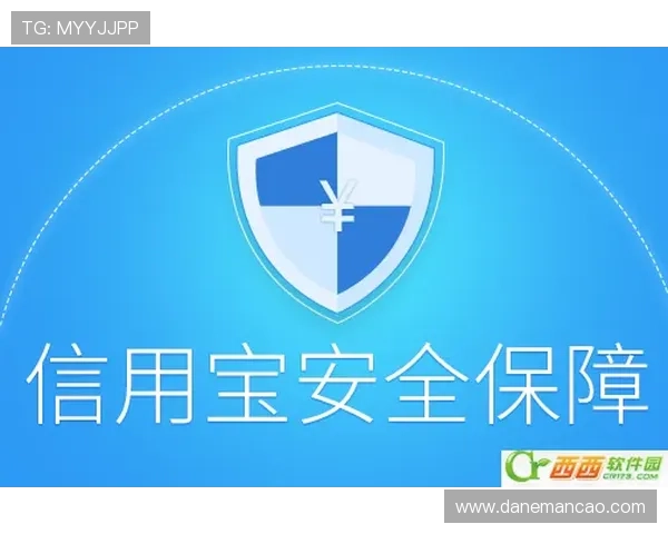 尊龙官网地址安全登录指南，保障你的账号信息安全与隐私保护