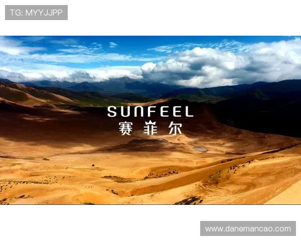 探讨尊龙凯时备用平台的优势与劣势，帮助玩家做出明智决策