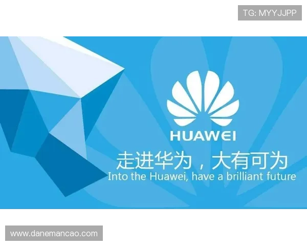 Z6人生就是博:探索人生无限可能的智慧与策略 Z6人生就是博:探索人生无限可能的智慧与策略