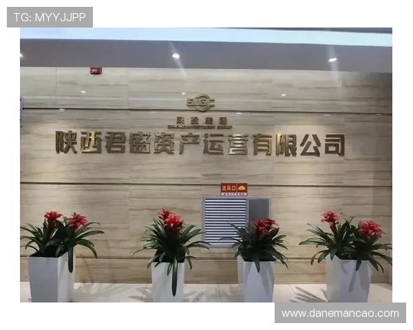 尊龙用现金一下指导ag发财网高效充值技巧及资金管理策略推荐