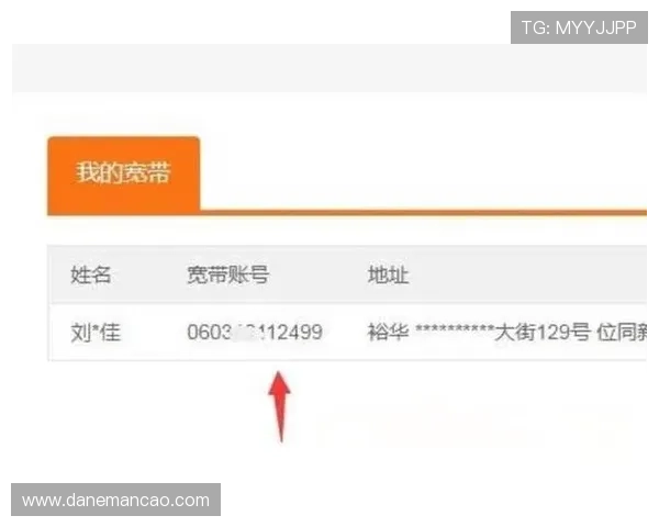 凯时KS国际登录账号密码忘记解决方案及账号安全保护技巧